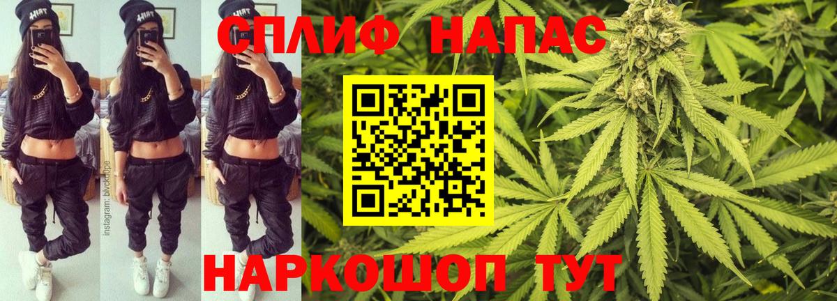 Каннабис семена Будённовск