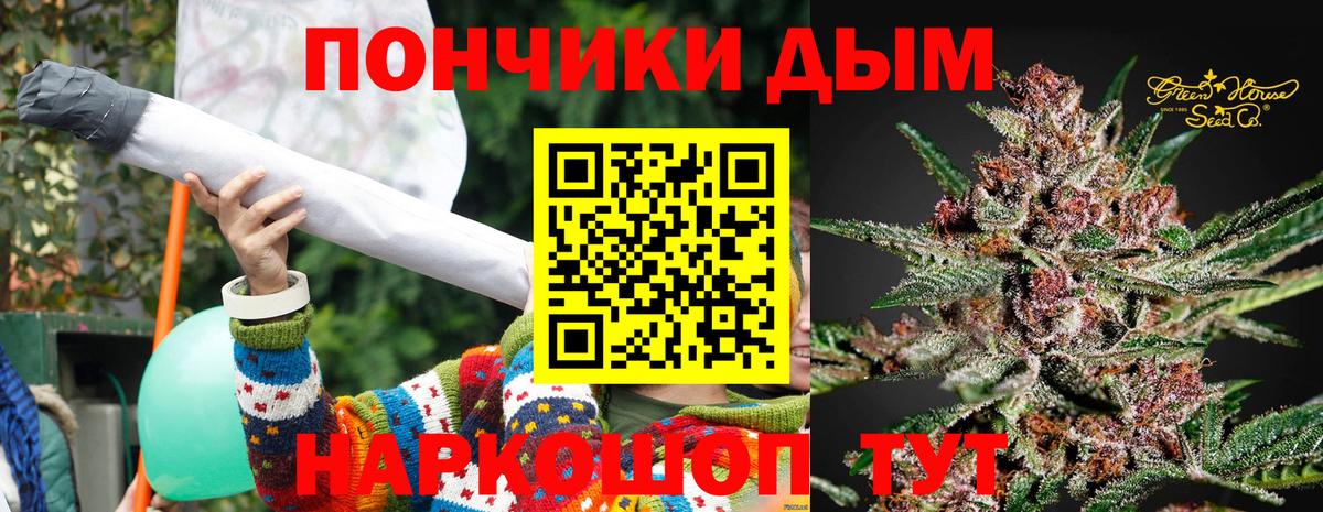 Будённовск  Шишки марихуана индика  Вход с VPN  Шишки марихуана планчик 